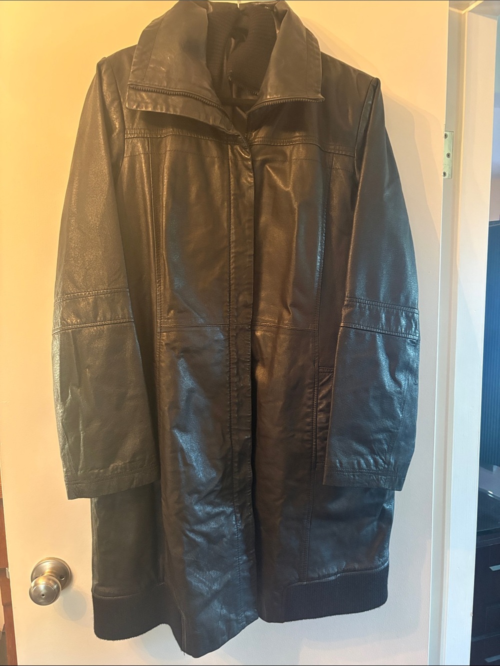 Danier leather trench